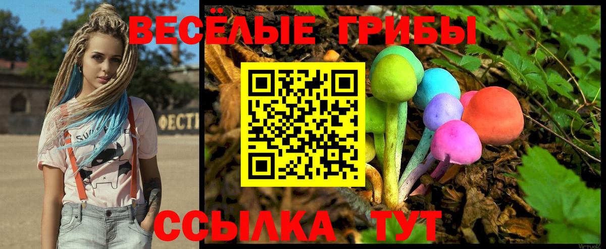 Псилоцибиновые грибы Cubensis  Вход с VPN  Псилоцибиновые грибы ЛСД  Лангепас 